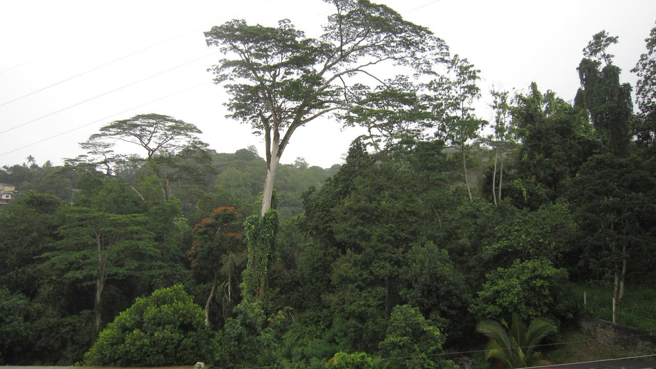 Bethel Rest Homestay Kandy Zewnętrze zdjęcie